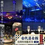 古代蓮会館 夜間特別鑑賞券 プレミアム ~夜景とイルミを貸…
