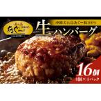ふるさと納税 美ら島あぐー ハンバーグ 16個 セット 沖縄県 おかず 惣菜 アグー豚 使用 冷凍 4個×4パック 小分け おいしい 肉 糸満市 国産 .. 沖縄県糸満市