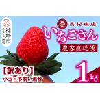 ふるさと納税 【令和8年1月中旬より順次発送】【訳あり】いちごさん 約1kg (小玉不揃い混合)【訳あり いちご イチゴ 苺 佐賀県 甘い フルーツ 果.. 佐賀県神埼市