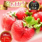 いちご あまおう 冬 540g以上