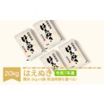 ふるさと納税 米 お米 20kg 5kg×4 はえぬき 精米 お米 令和7年産 2025年産 山形県産 送料無料 ※沖縄・離島への配送不可 mk-haxxa20 山形県村山市