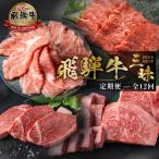 飛騨牛三昧 全12回 お届け 定期便