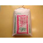 令和5年 産コシヒカリ30kg