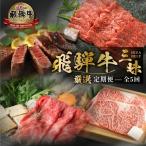 定期便 飛騨牛 三昧 肉 全5回