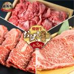 飛騨牛 お試し定期便