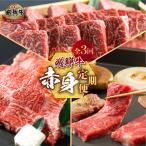 飛騨牛 赤身定期便