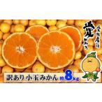 ふるさと納税 小玉みかん 訳あり 小玉 みかん 8kg 中井屋小玉みかん 小玉みかん 小玉みかん B010-173002 愛媛県宇和島市