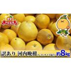 ふるさと納税 【先行�