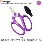 生花はさみ ハンドクリエーションF170