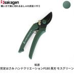 剪定はさみ ハンドクリエーションP180