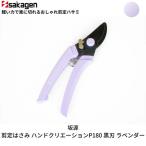 剪定はさみ ハンドクリエーションP180黒刃