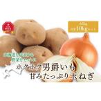 ふるさと納税 【先行予約】ホクホク男爵いも・甘みたっぷり玉ねぎ★10kgセット★(2025年9月下旬より発送開始) | 玉ねぎ 玉ねぎ 玉ねぎ 玉ね.. 北海道旭川市