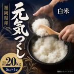 元気つくし 20kg