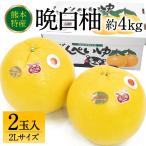 晩白柚 ばんぺいゆ 2Lサイズ 2玉