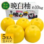 晩白柚 ばんぺいゆ 2Lサイズ 5玉