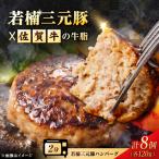 若楠三元豚ハンバーグ 120g×8個