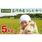 コシヒカリ5kg 新米 米 こめ コメ こしひかり