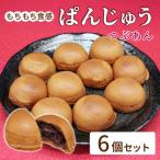 手土産にも ぱんじゅう リンゴカスタード味 6個入り