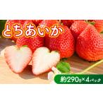 ふるさと納税 いちご（とちあいか） 290g×4パック 1.16kg以上 ｜  ※2025年11月下旬〜2026年3月下旬頃に順次発送予定 栃木県さくら市