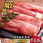赤身 モモ 肩 400g