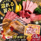 牛肉切り落し 1kg