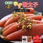 明太子 熟成 5本入り