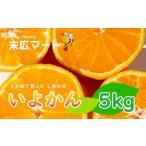 伊予柑 約5kg