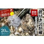 釧路管内産 殻付き活牡蠣 20個
