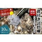 釧路管内産 殻付き活牡蠣 10個