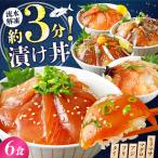 漬け丼3種計6食 BTAP010