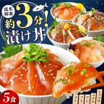 漬け丼5種 BTAP003