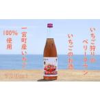 千葉 長生の幸 いちごのお酒