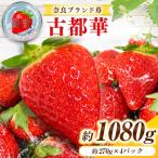 産ブランド 古都華 ことか 4パック