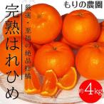 はれひめ みかんの甘み と オレンジの香り