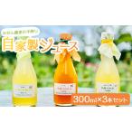 みかん農家の手搾り自家製ジュース 300ml