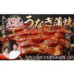 うなぎの蒲焼き 1本