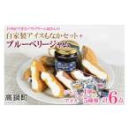 2か月以内に 出荷 アイス ジャム セット ブルーベリー