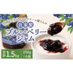 2か月以内に 出荷 ジャム ブルーベリー 6個