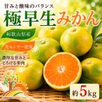 こだわりの極早生みかん 約5kg