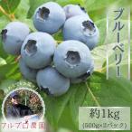 [ для бытового использования ] голубика примерно 1kg(500g×2 упаковка ) Nagano префектура *.. высота ... сырой еда для 7 месяц отправка ..#NBN0B010
