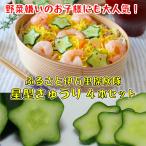 きゅうり 星型 ハート型 子供 野菜嫌い 克服 お弁当 誕生日 料理 インスタ 各2本 4本 セット