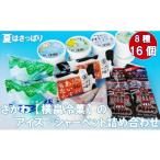 ふるさと納税 菓子 アイス 高知県 佐川町 さかわのアイス・シャーベット詰め合わせ