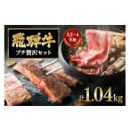 牛肉 サーロイン 飛騨牛 A5~4等級 プチ贅沢セット