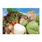 fu.... налог комплект *... Shizuoka префектура Fuji город Fuji. свежий . сезон овощи комплект набор . свежий Fuji город рассылка не возможно регион : Okinawa * отдаленный остров sf001-009