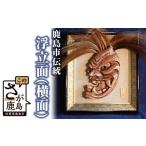 伝統技術 E-17 浮立面 横面