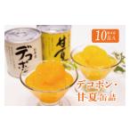 ふるさと納税 みかん・柑橘類 デコポン 熊本県 芦北町 B10-13 デコポン・甘夏缶詰セット（10缶入）