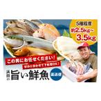 旬の鮮魚等 この男に任せてみませんか~浜田の旨い鮮魚直送…
