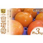 果物類 柿 富有柿 約3kg