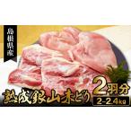 鶏肉 モモ 熟成 地鶏の銀山赤どり精肉 まるごと2羽分