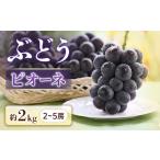ふるさと納税 果物類 ぶどう 長野県 豊丘村  2026年発送先行予約 ぶどう ピオーネ 約2kg 2〜5房 2026年9月中旬〜9月下旬発送予定